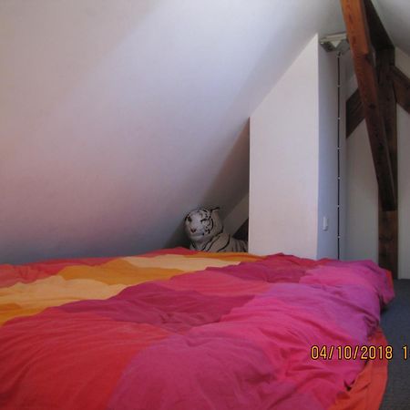 מולזהיים R Bnb Ouest מראה חיצוני תמונה